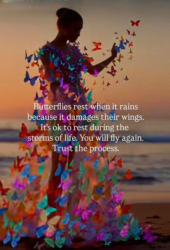 eb8b1602768f3636c547da8b01e935e2.jpg