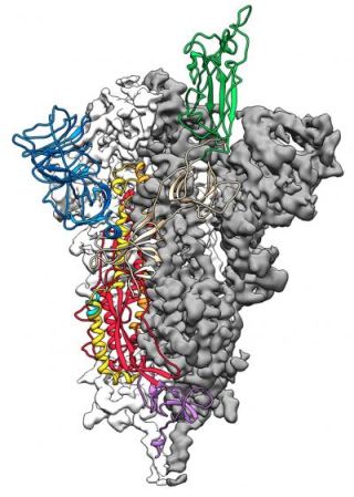 experimentalfrontiers.scienceblog.com