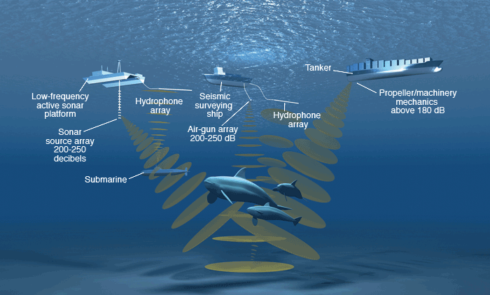 sonar.gif