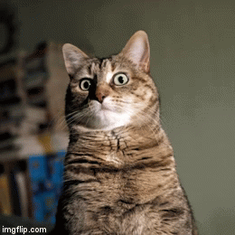 36bb589d59e6b0523da6d67f828a755e.gif