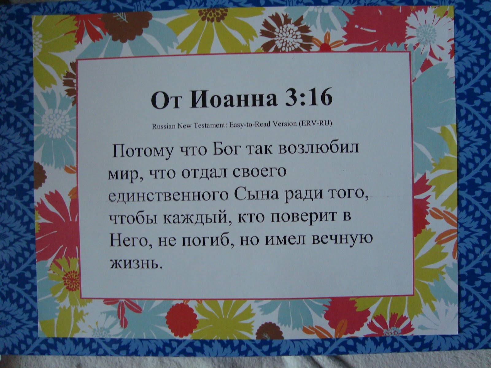 DSC00963.JPG