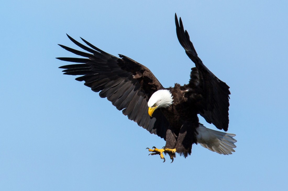 16772838179_3a81035e32_k-Edited.jpg