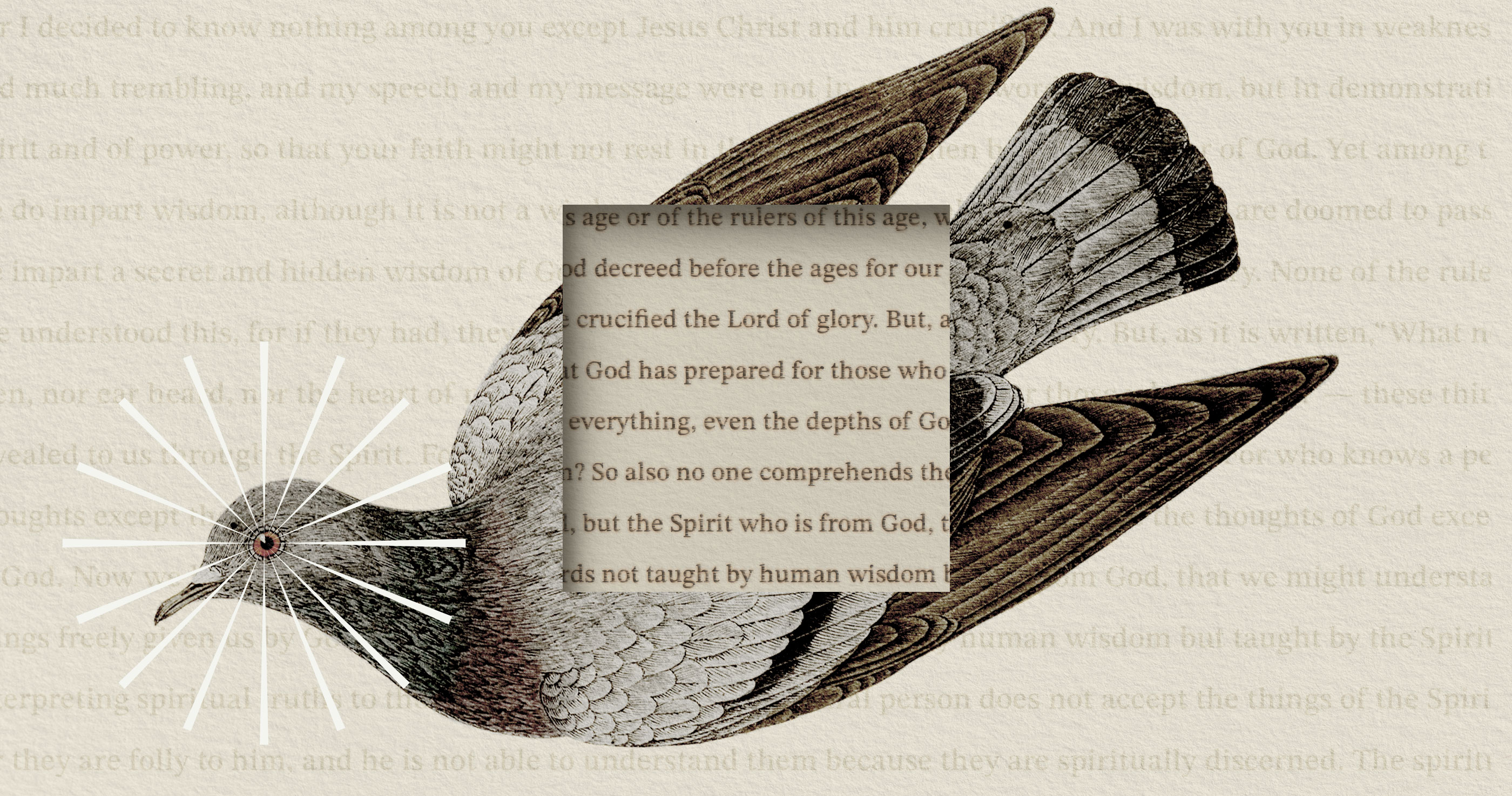 www.crossway.org
