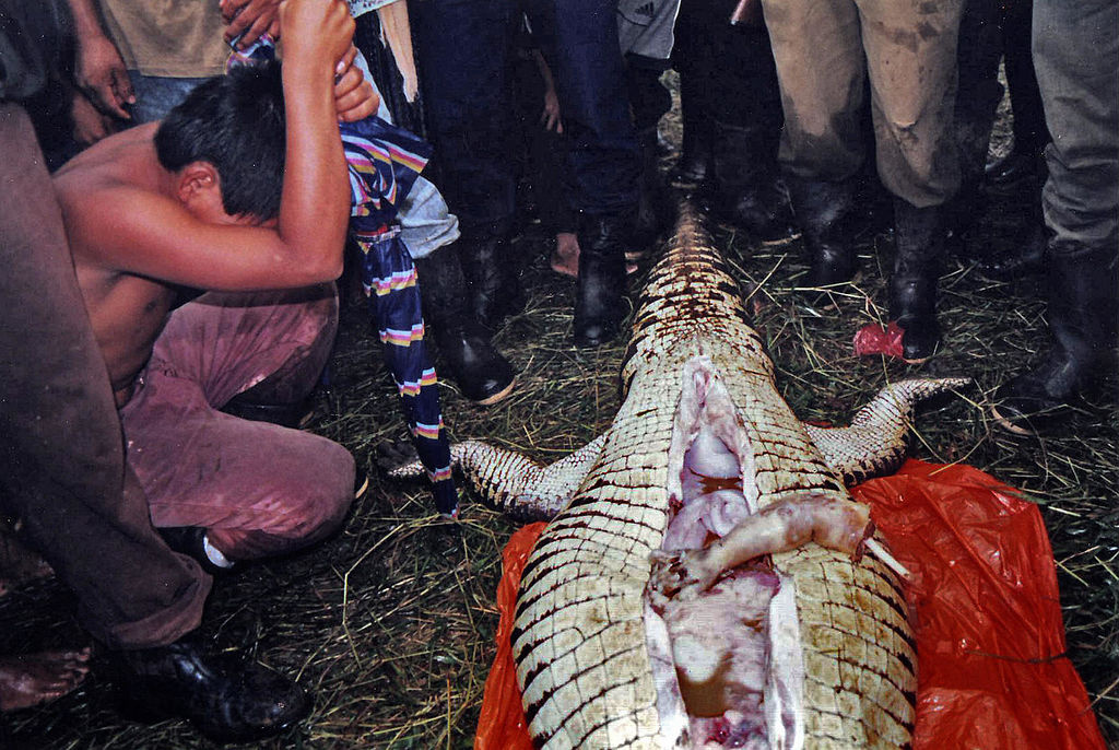 www.natureworldnews.com