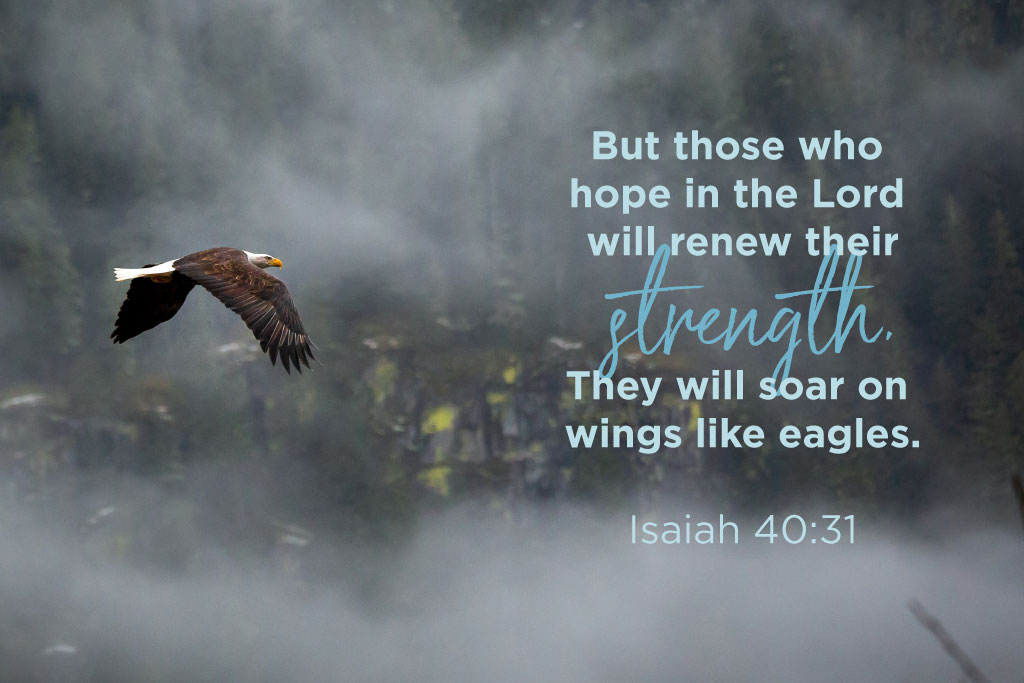 Wings-like-eagles.jpg