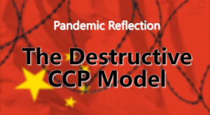 ccpmodel-300x165.png