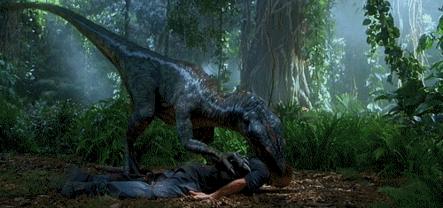 tumblr_nfmo19IivC1se3dtmo5_500.gif