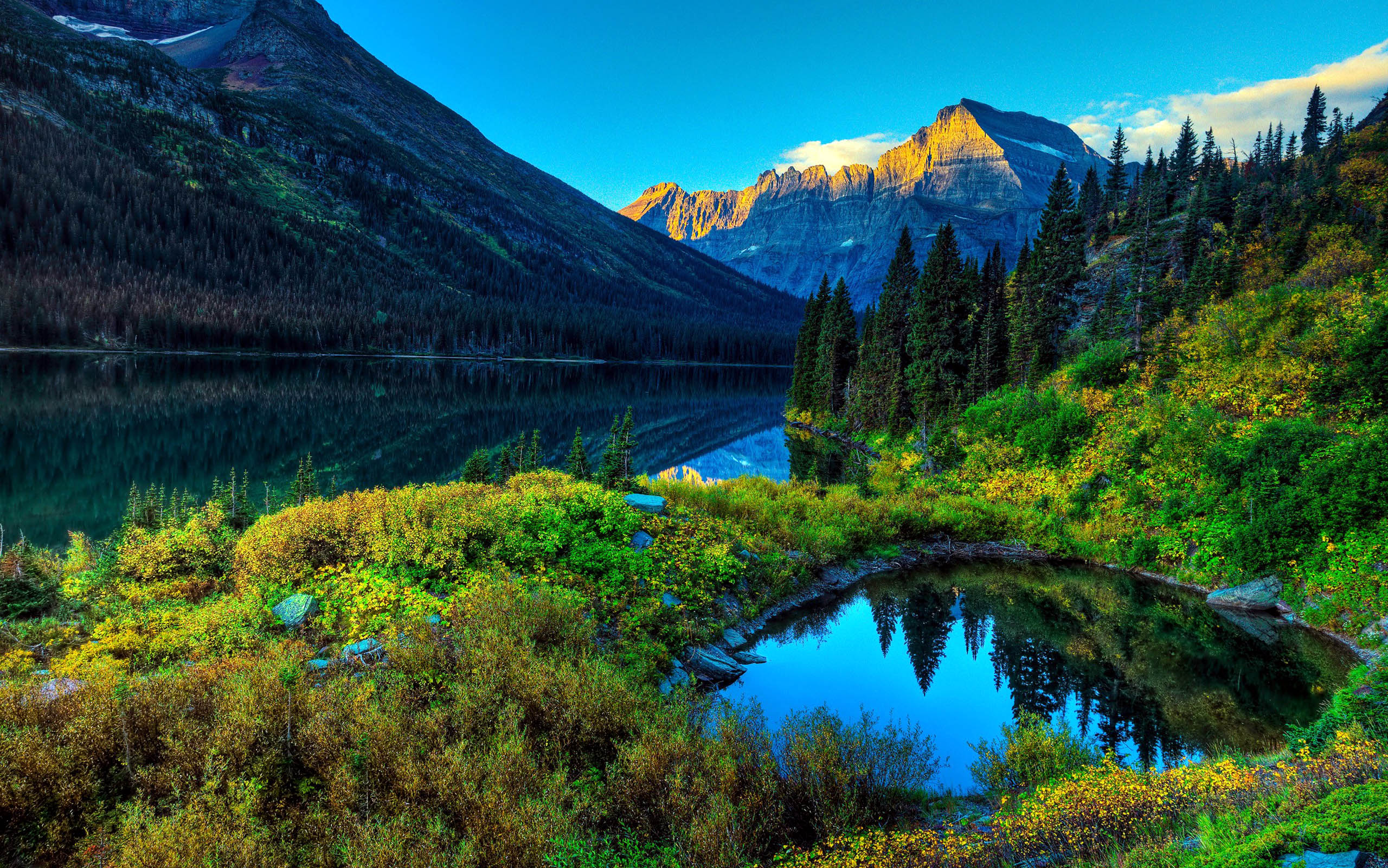 Beautiful_Forest_Green_Lake_Landscape.jpg