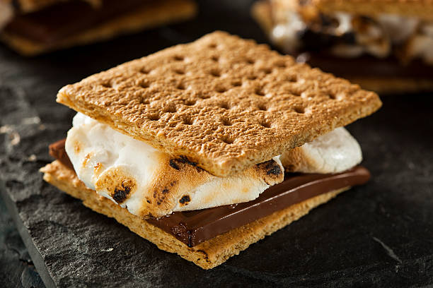 more-with-burnt-marshmallow-and-melted-chocolate-picture-id498951239