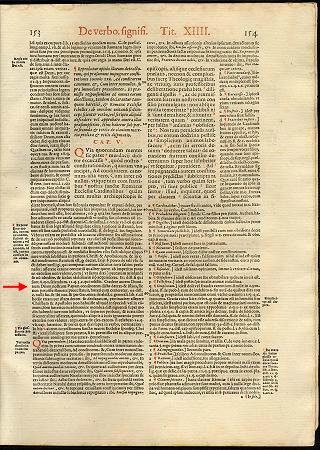 Extra-1582-sm.jpg