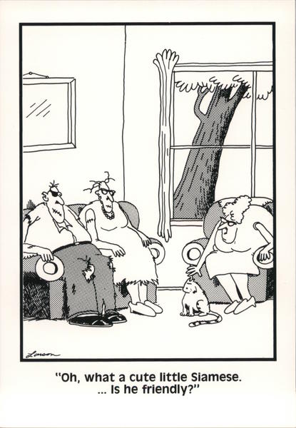 card00114_fr.jpg