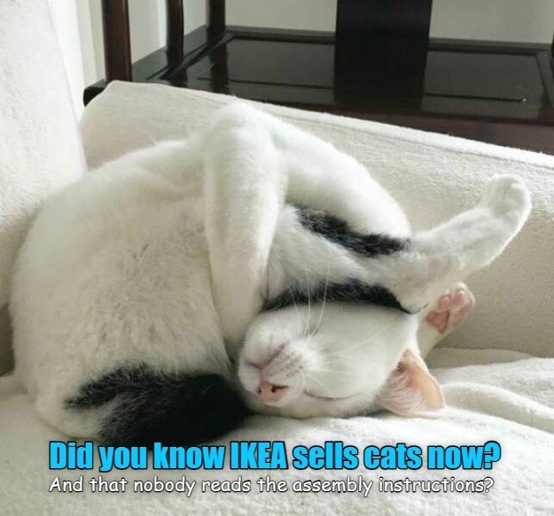 did-you-know