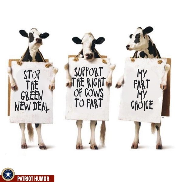 cow-farts-jpg.23348