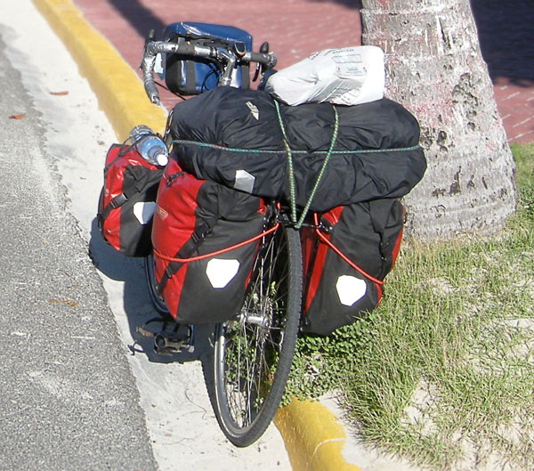 Bungee-Cords-Image.jpg