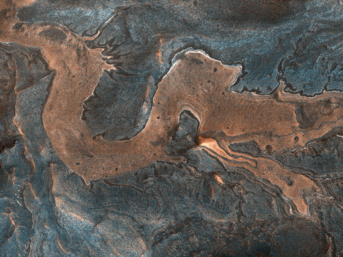 24928_dragon-web.jpg