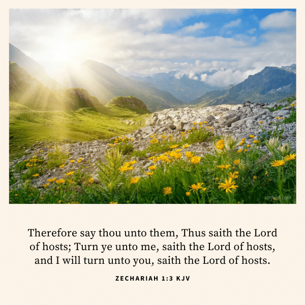 Zechariah-1-3-KJV.png