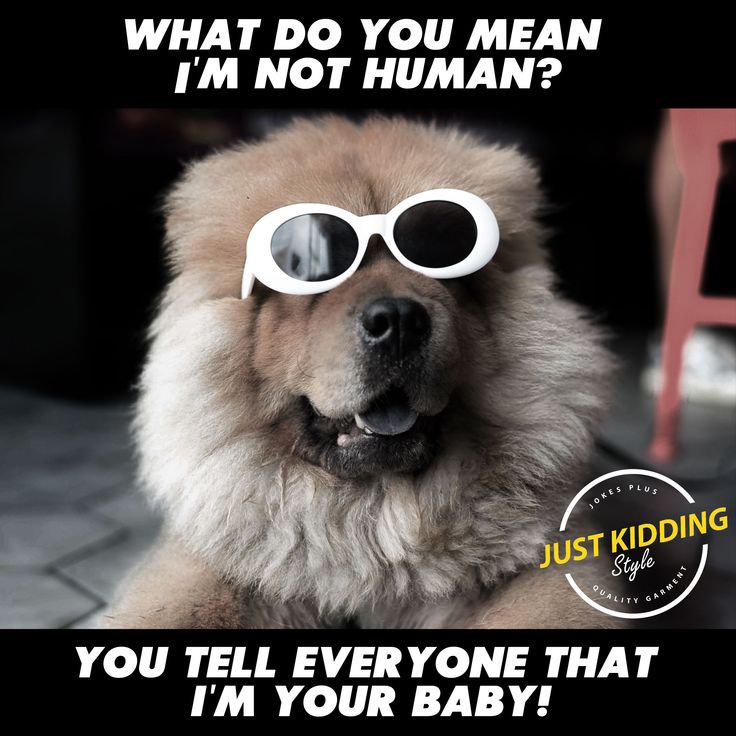 86c55770dd69926f92d66eeb517b70d6.jpg