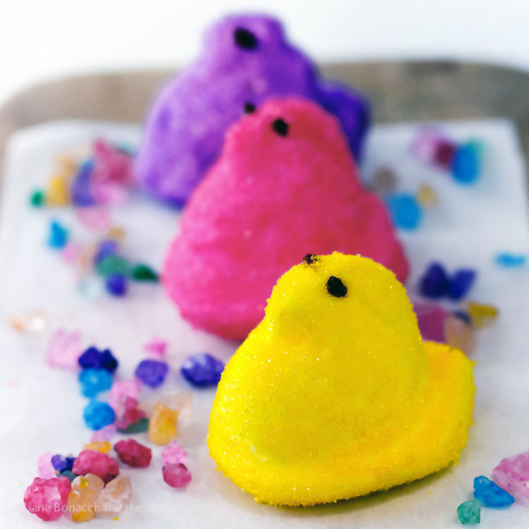 Peeps-3-16-50sq-1.jpg