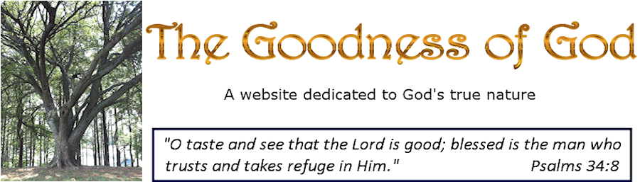 thegoodnessofgod.com