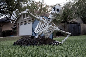 skeletongrave.jpg