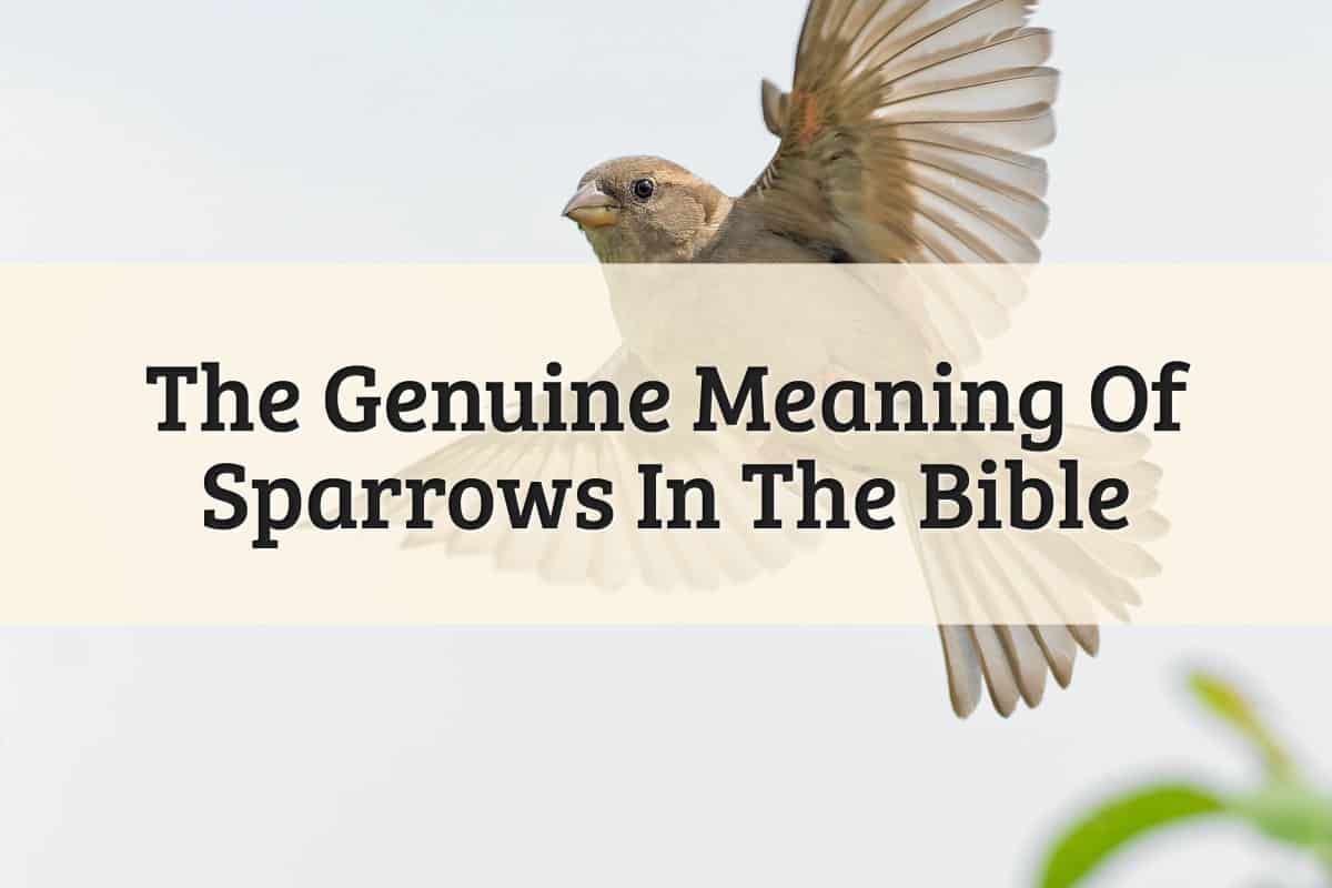 www.biblekeeper.com