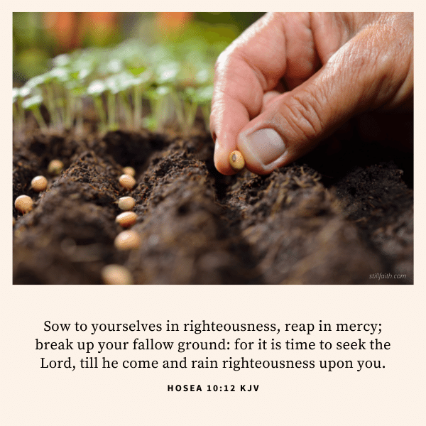 Hosea-10-12-KJV.png