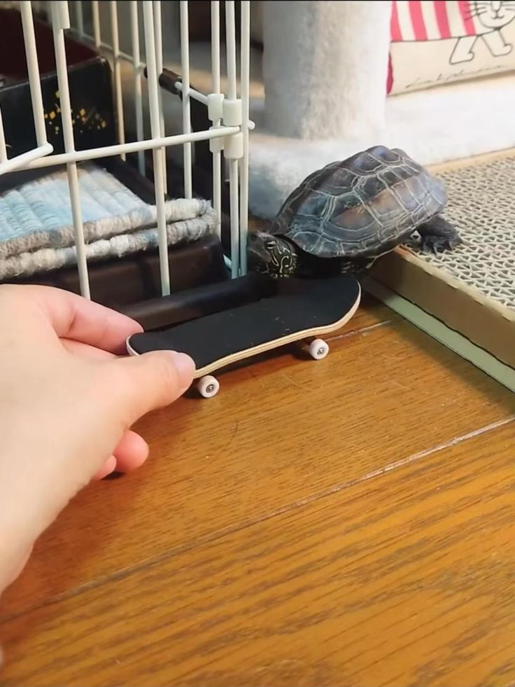 pin.it