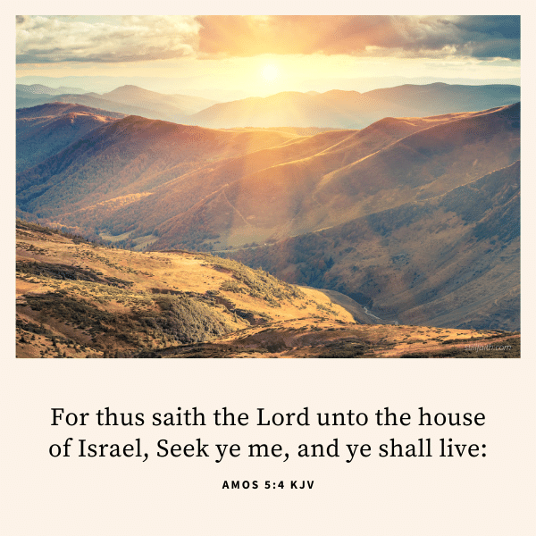 Amos-5-4-KJV.png