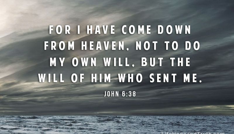 Jesus-the-Son-of-Man_800_460_80_c1.jpg