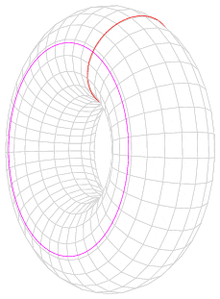 220px-Torus_cycles.png