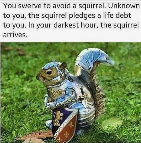 0*t3Wg0JGJkwRVkOVI