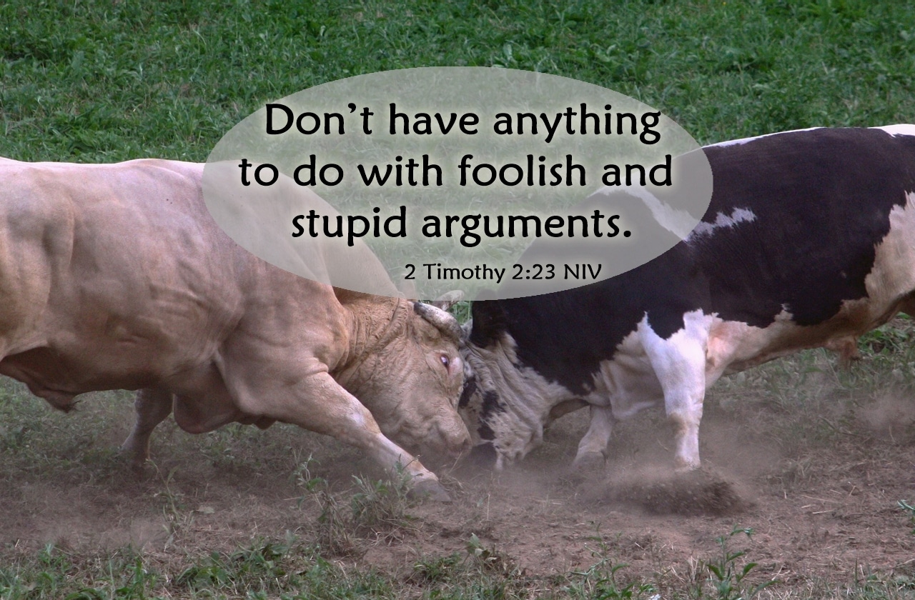 Foolish-and-Stupid-Arguments.jpg