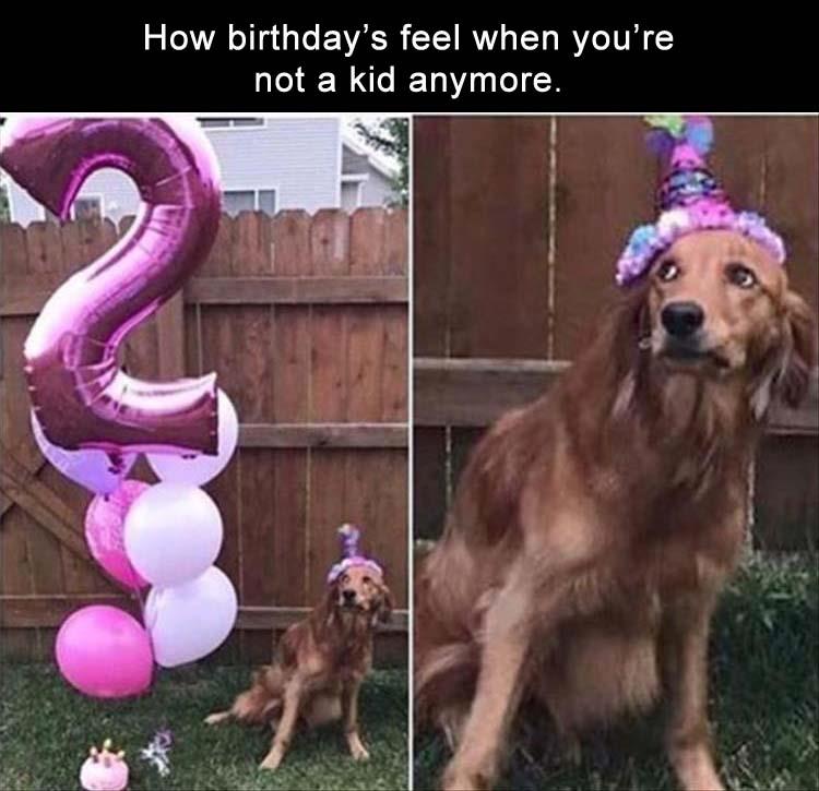 z-funny-703.jpg