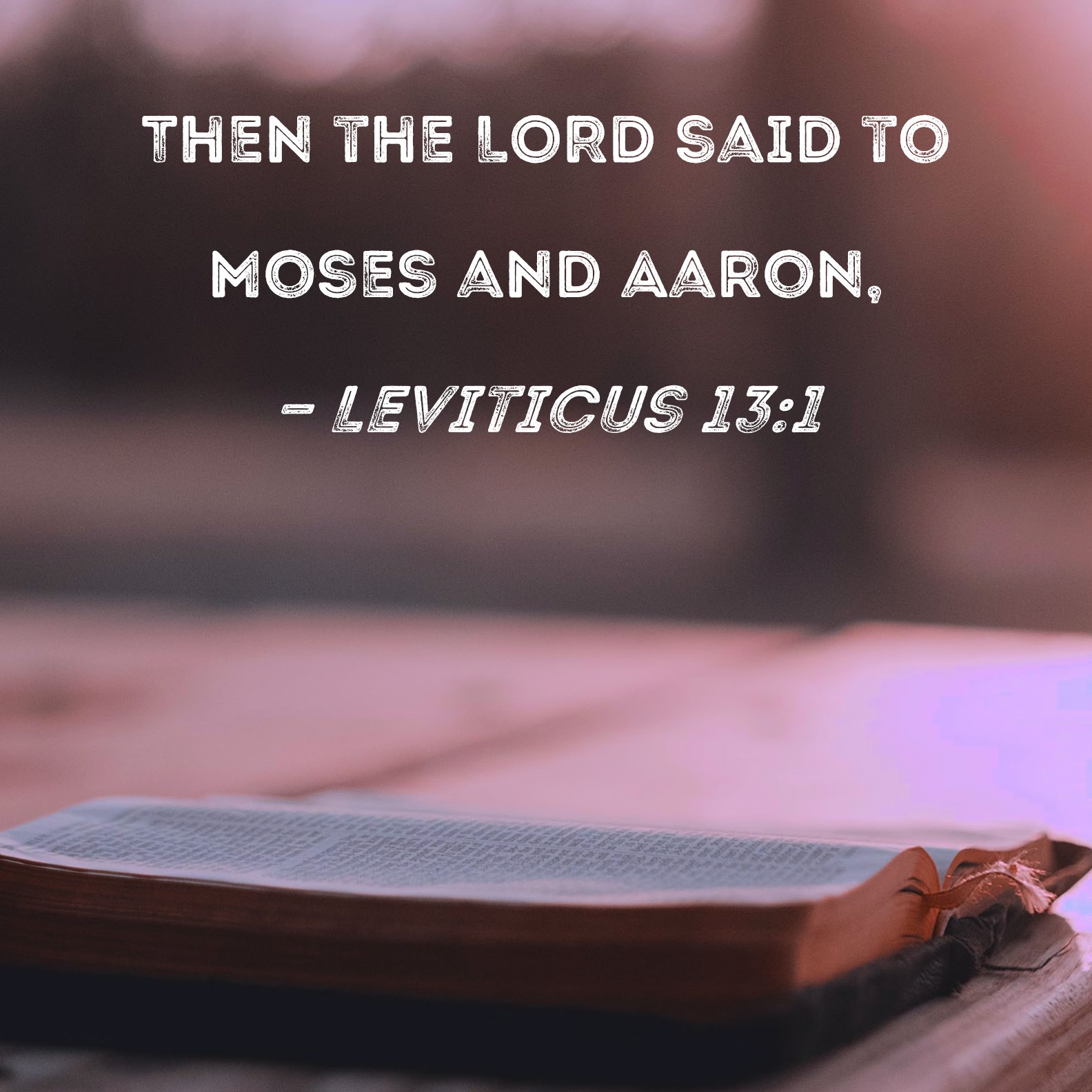 biblehub.com