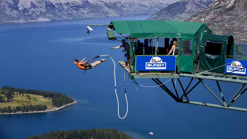 1239_image1_Bungy-Ledge-Bungy2.jpg