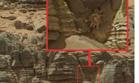 Mars-Crab-596486.jpg