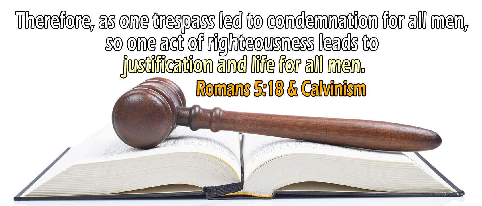 www.thecalvinist.net