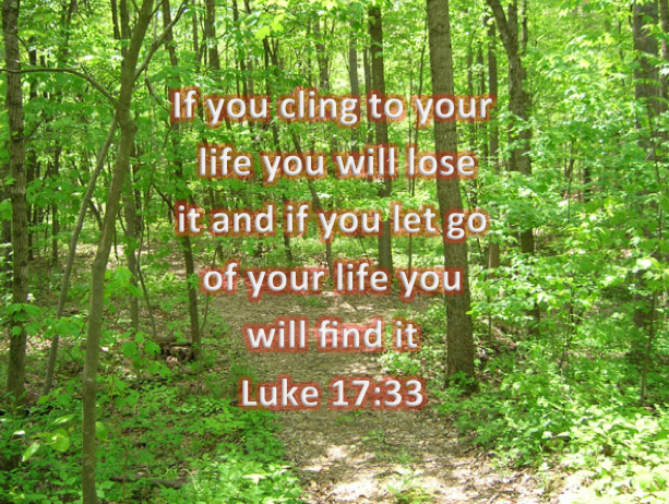 5ff091b0b35f08a5d073ccf5be34fdd6.png