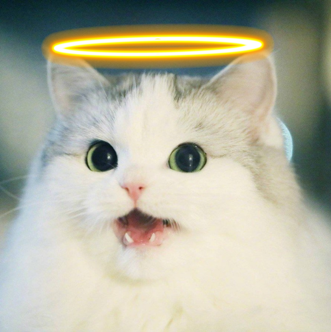 fbd.png