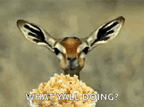 eating-popcorn-pocorn.png