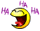 ff415affad72abaced59cdec437e985ae15c048.gif