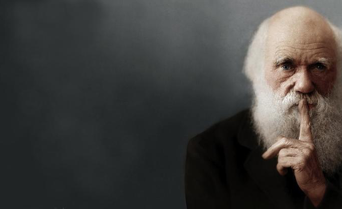 darwin-shush.jpg
