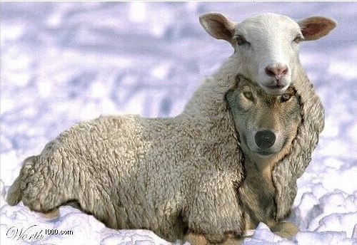 Wolf-In-Sheeps-Clothing-meme-2.jpg