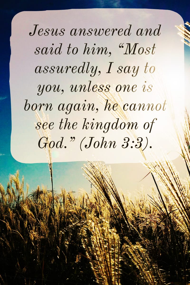 born-again_orig.jpg