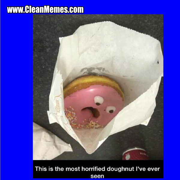 13horrifieddoughnut.jpg