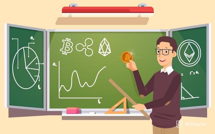 www.bitdegree.org