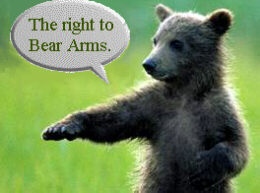 bear-arms.jpg