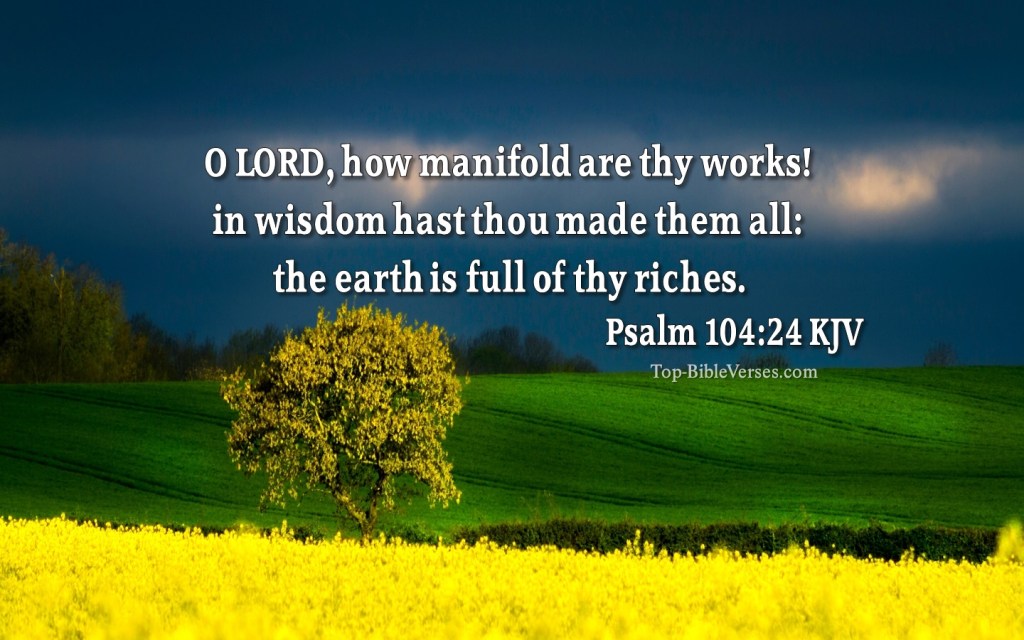 Psalm-104-24-O-LORD-how-manifold-are-thy-works-4.jpg