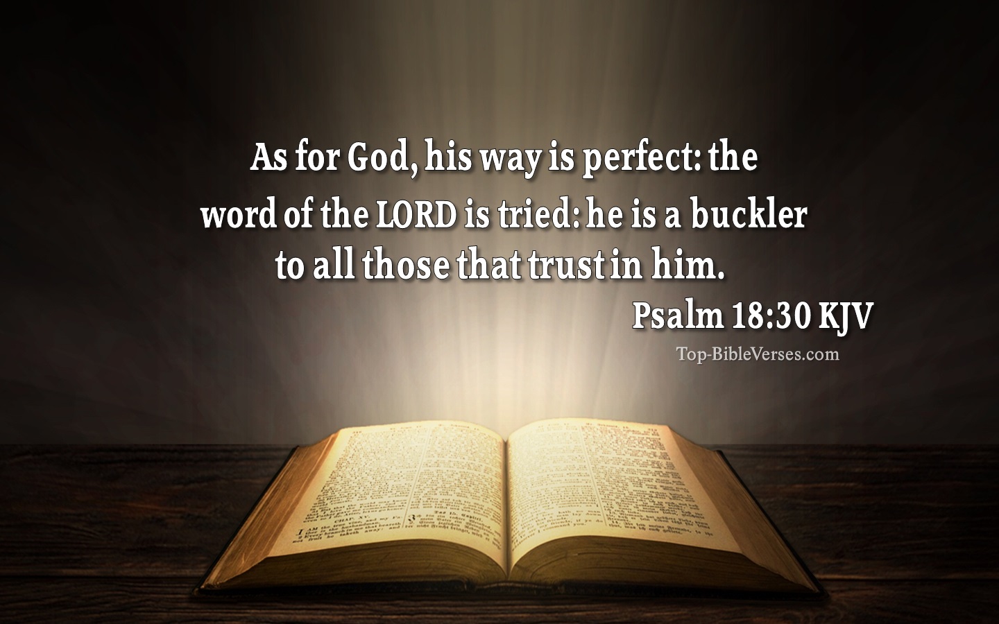 Psalm-18-30-As-for-God-his-way-is-perfect-3.jpg