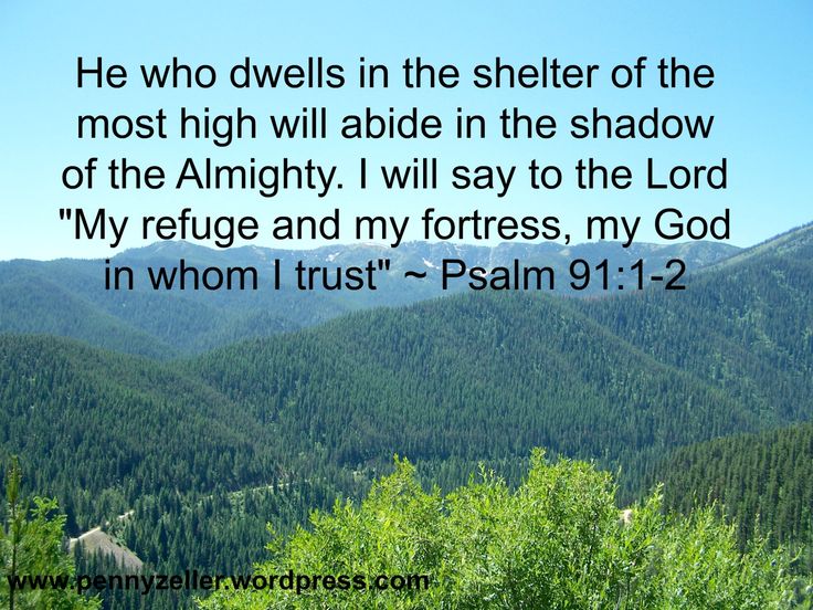 53b1e9596358bb71dac4967a998f7b96--bible-psalms-psalm-.jpg